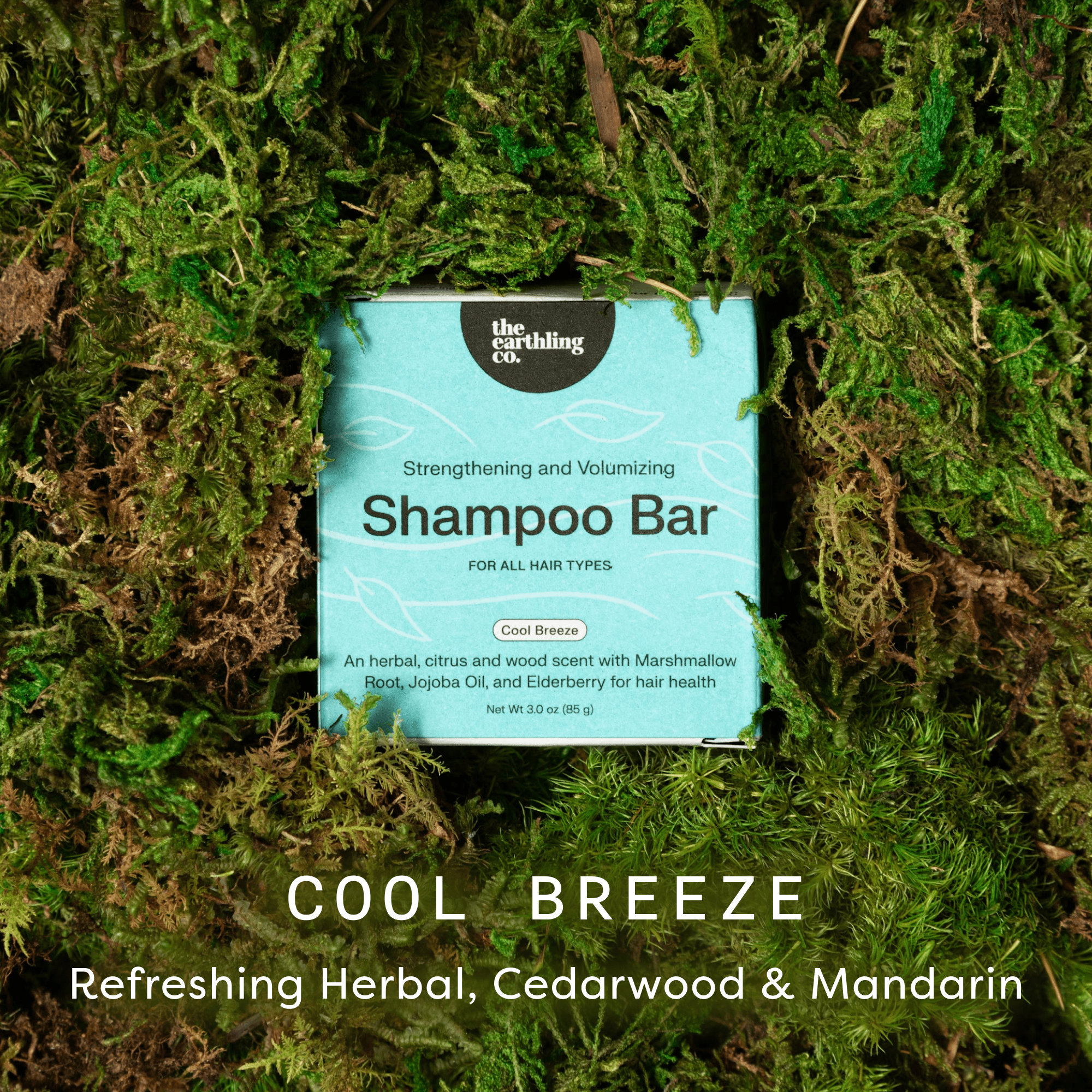 Shampoo Bar for Thickness & Volume